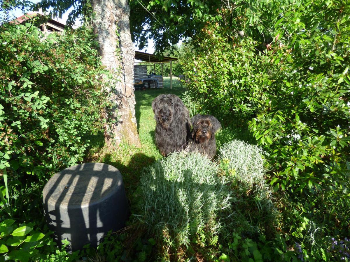 Britavit Bed & Breakfast Saint-Avit-Senieur Bagian luar foto