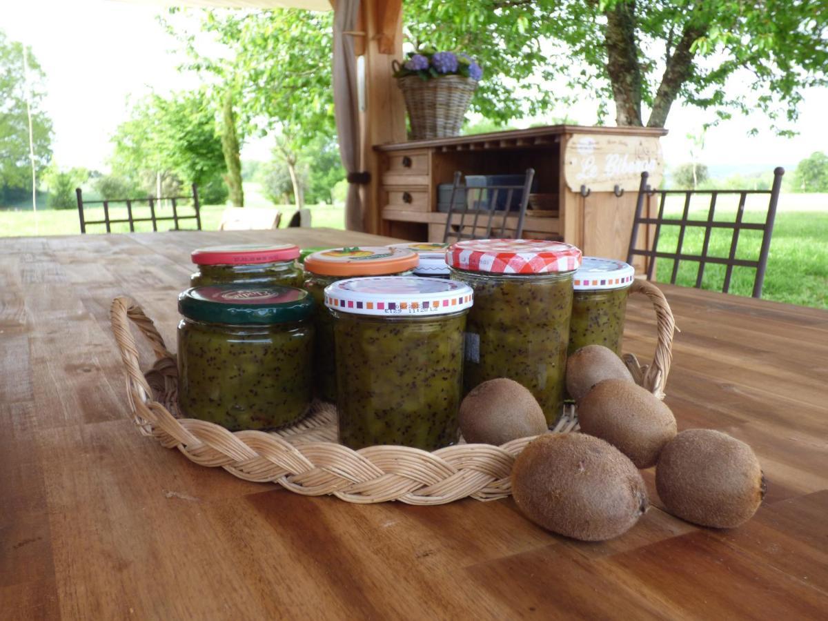 Britavit Bed & Breakfast Saint-Avit-Senieur Bagian luar foto