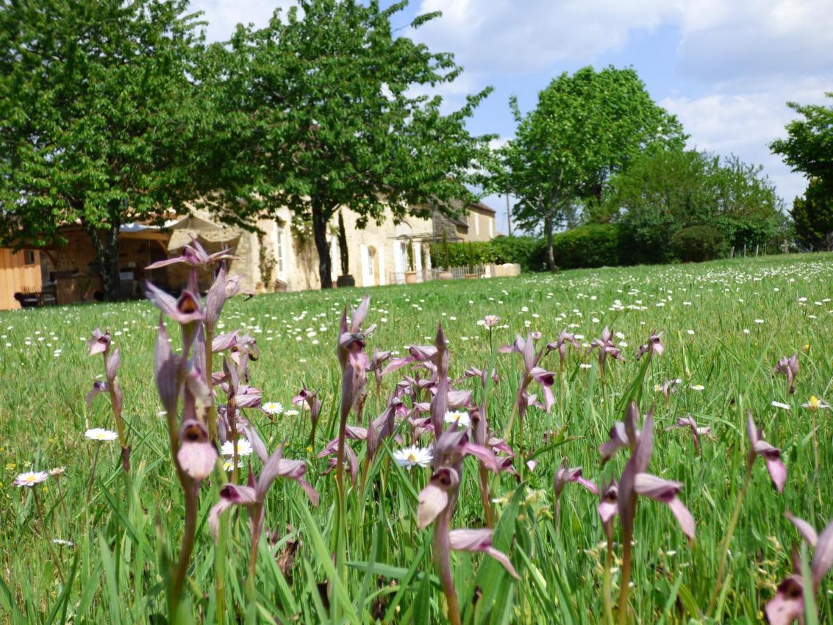 Britavit Bed & Breakfast Saint-Avit-Senieur Bagian luar foto