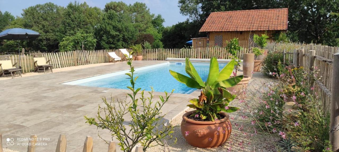 Britavit Bed & Breakfast Saint-Avit-Senieur Bagian luar foto