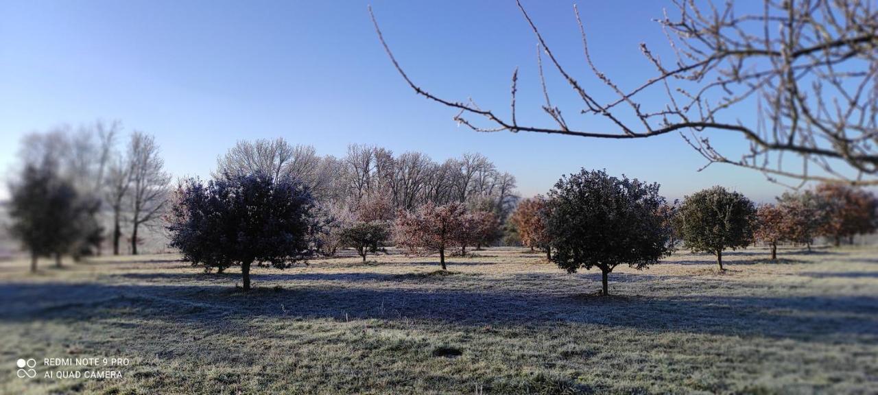 Britavit Bed & Breakfast Saint-Avit-Senieur Bagian luar foto